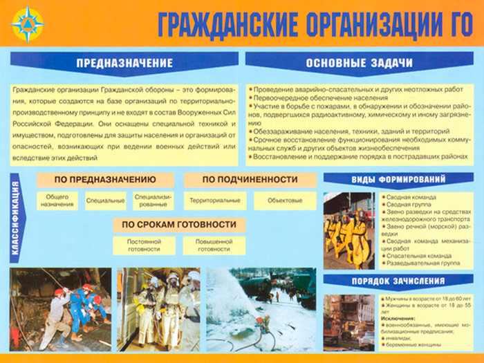 Приведите примеры деятельности го