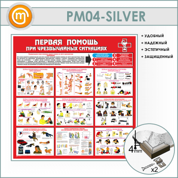       (PM-04-SILVER)