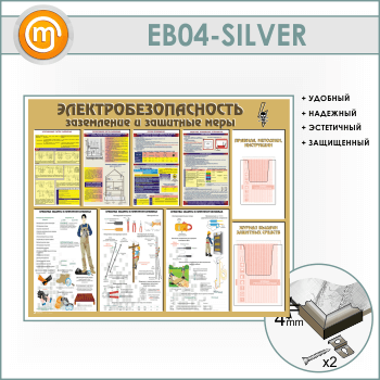  .      2   (EB-04-SILVER)