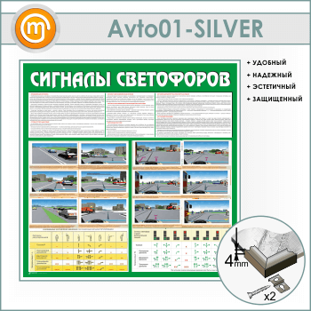    (AV-01-SILVER)