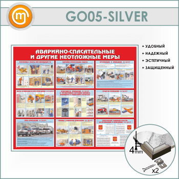  -     (GO-05-SILVER)