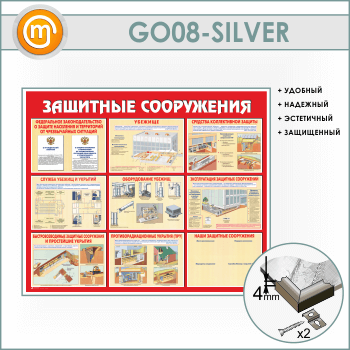    (GO-08-SILVER)