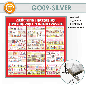        (GO-09-SILVER)