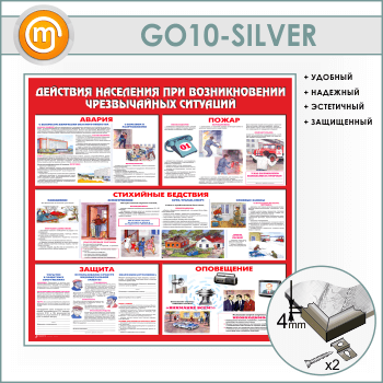        (GO-10-SILVER)