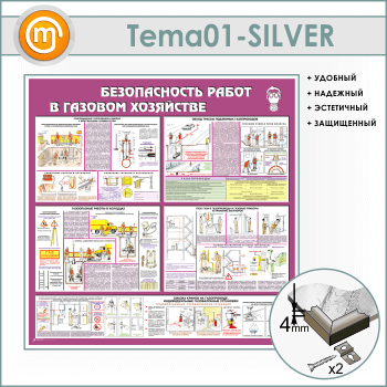       (TM-01-SILVER)