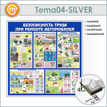       (TM-04-SILVER)