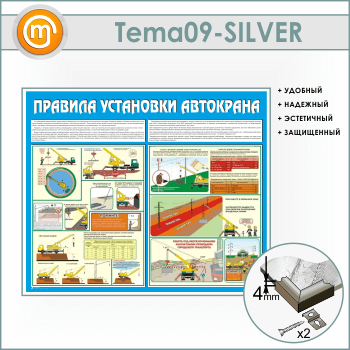     (TM-09-SILVER)