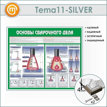     (TM-11-SILVER)