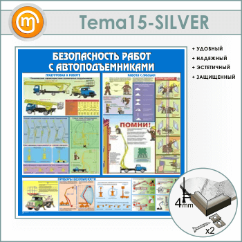      (TM-15-SILVER)