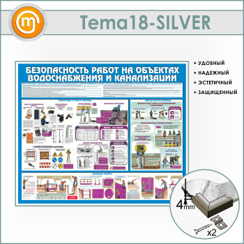         (TM-18-SILVER)