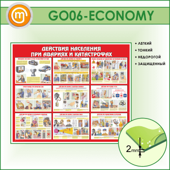        (GO-06-ECONOMY)