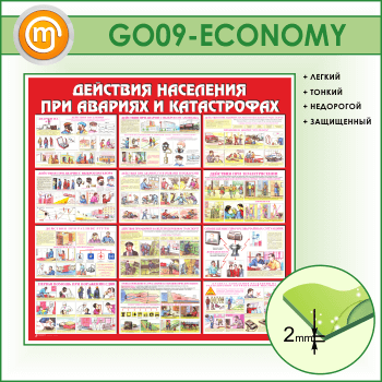        (GO-09-ECONOMY)