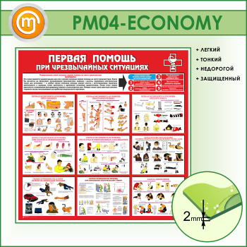       (PM-04-ECONOMY)