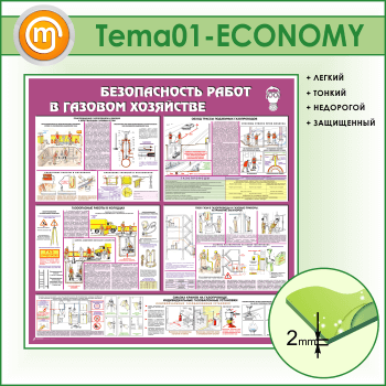       (TM-01-ECONOMY)