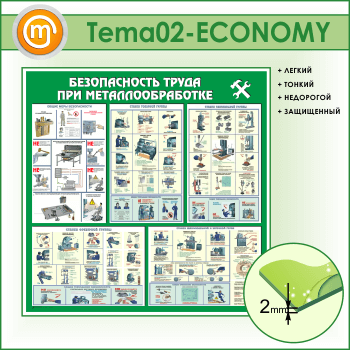      (TM-02-ECONOMY)