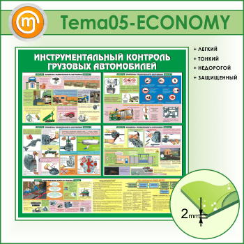      (TM-05-ECONOMY)