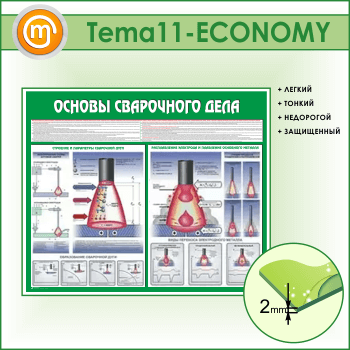     (TM-11-ECONOMY)