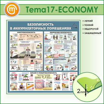    (TM-17-ECONOMY)