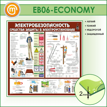  .     (EB-06-ECONOMY)