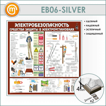  .     (EB-06-SILVER)