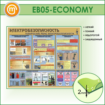  .    (EB-05-ECONOMY)