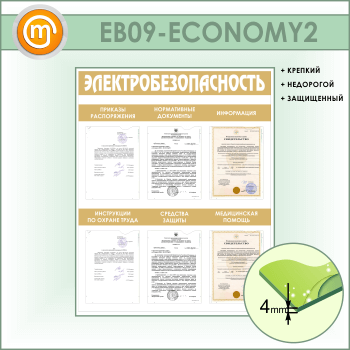    6  (EB-09-ECONOMY2)