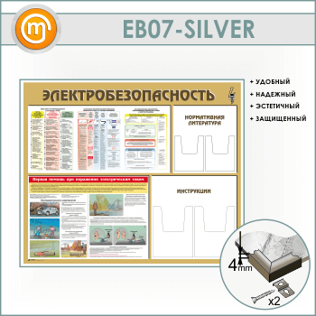    4   (EB-07-SILVER)