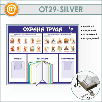        2   (OT-29-SILVER)