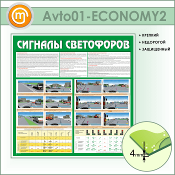    (AV-01-ECONOMY2)