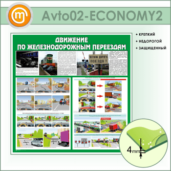      (AV-02-ECONOMY2)