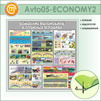       (AV-05-ECONOMY2)