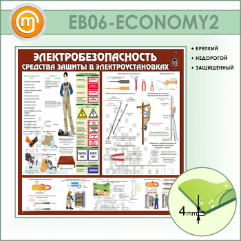  .     (EB-06-ECONOMY2)