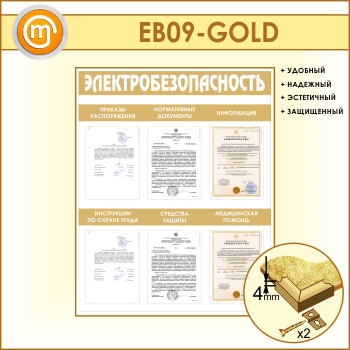    6  (EB-09-GOLD)