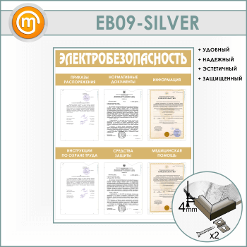    6  (EB-09-SILVER)