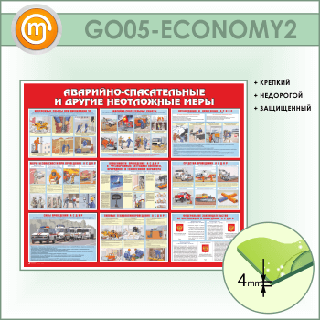  -     (GO-05-ECONOMY2)