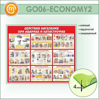        (GO-06-ECONOMY2)