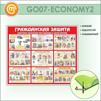    (GO-07-ECONOMY2)