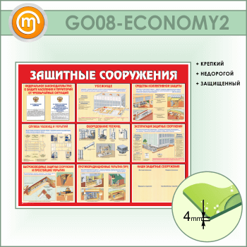    (GO-08-ECONOMY2)