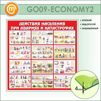        (GO-09-ECONOMY2)