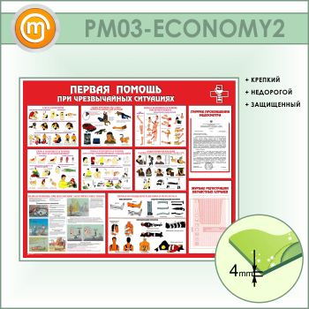            (PM-03-ECONOMY2)