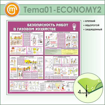      (TM-01-ECONOMY2)