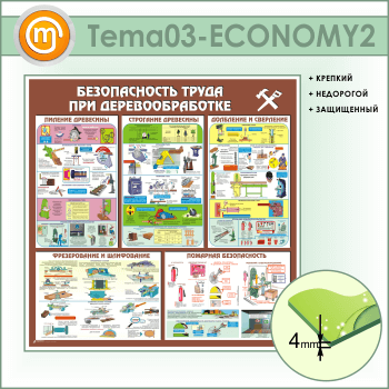      (TM-03-ECONOMY2)