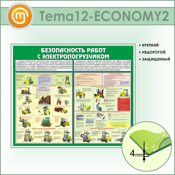      (TM-12-ECONOMY2)