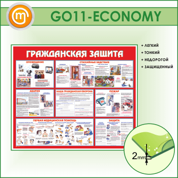    (GO-11-ECONOMY)