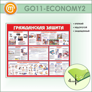    (GO-11-ECONOMY2)