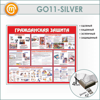    (GO-11-SILVER)