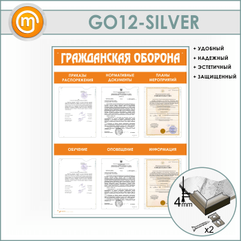     6   (GO-12-SILVER)