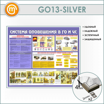       ѻ (GO-13-SILVER)