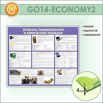       (GO-14-ECONOMY2)