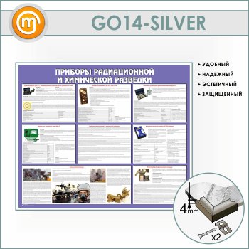       (GO-14-SILVER)